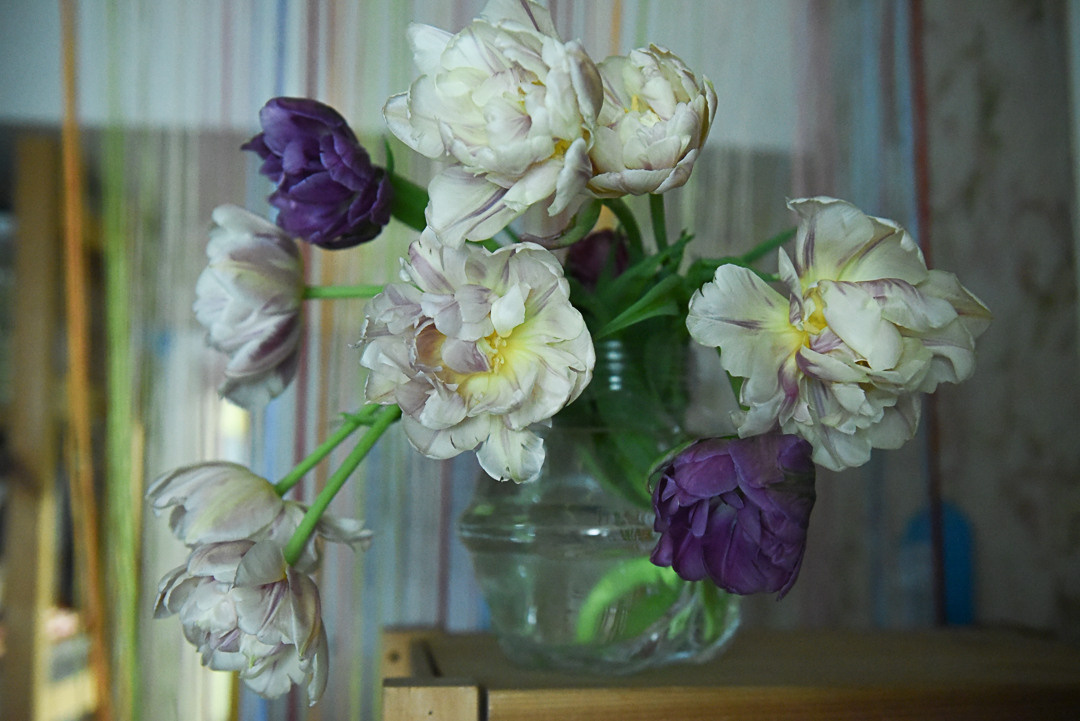 Предметная съемка. Приходской фотограф и педагог Екатерина Ивлянова