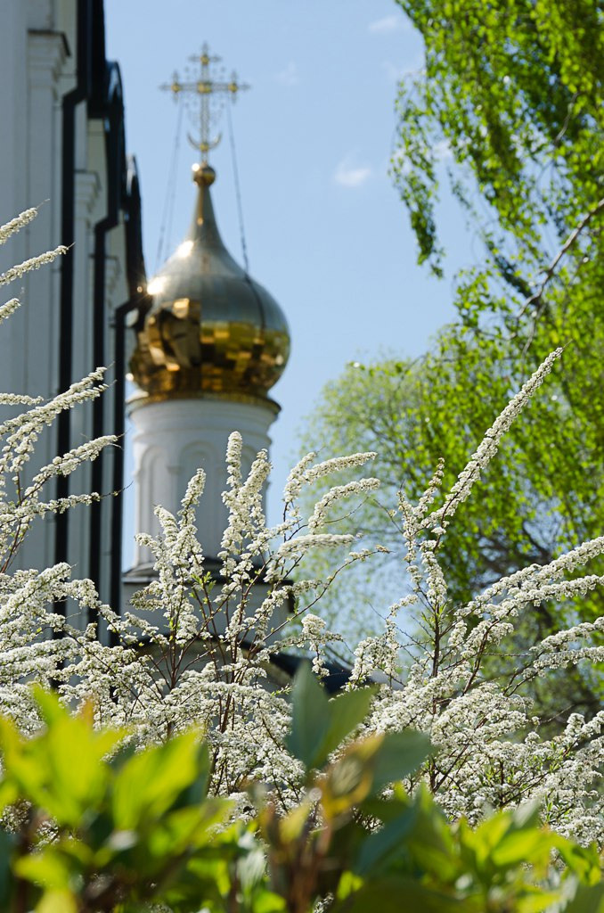 Церковное. Приходской фотограф и педагог Екатерина Ивлянова