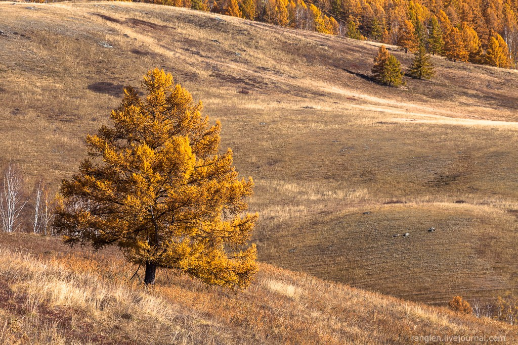 Природные пейзажи Ивана Губанова. Фотограф Иван Губанов