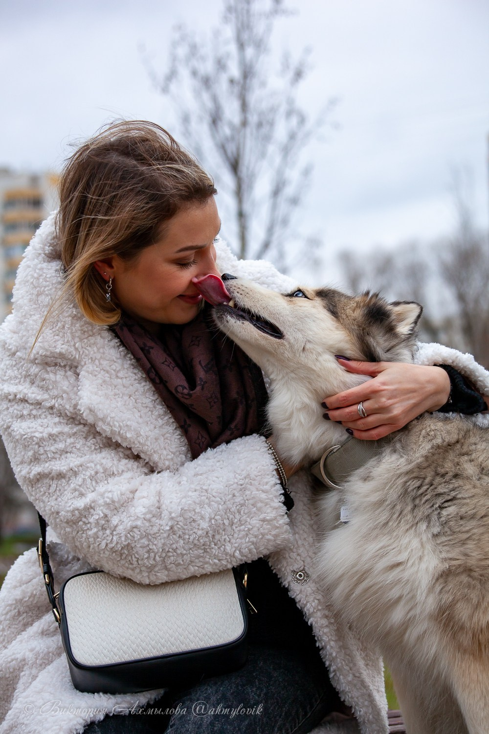 Прогулка с Хаски (Настя). Виктория Ахмылова. Фотограф в Москве