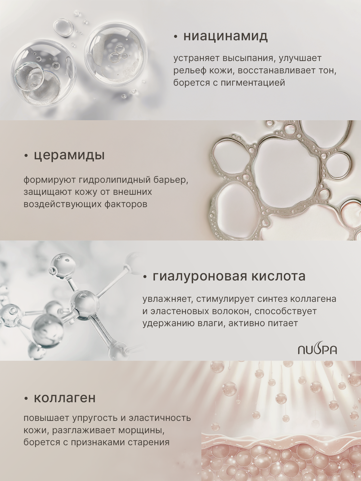 Крем для лица. Разработка фирменного стиля, брендбука, логотипа (логобука), инфографика для маркетплейсов, Новосибирск