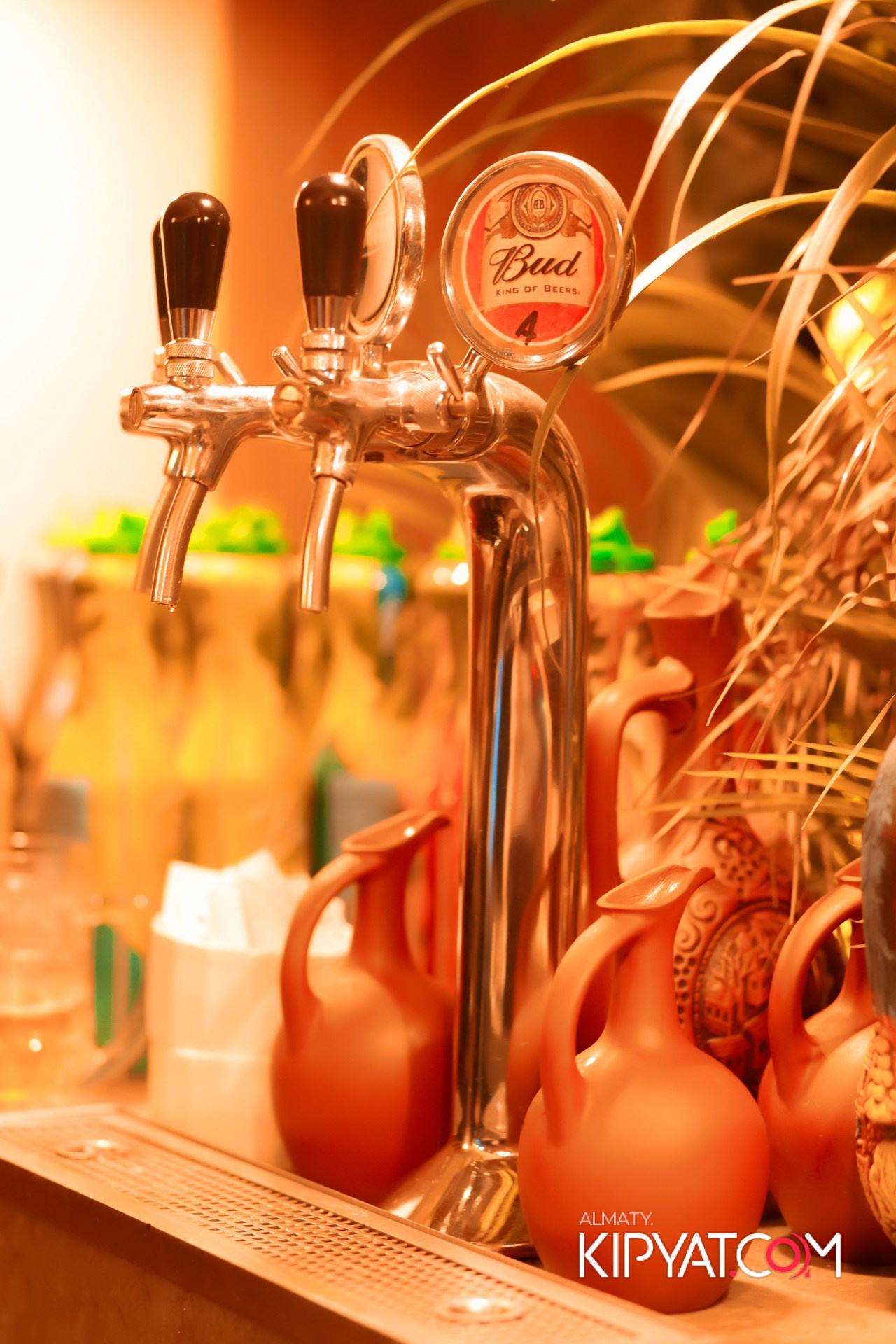 MODI RESTORANCHIK. КИПЯТКОМ АЛМАТЫ!