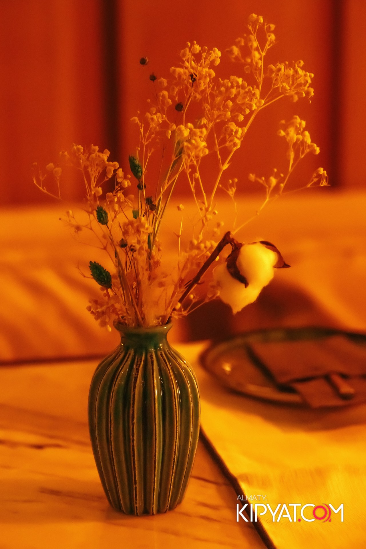 Modi. КИПЯТКОМ АЛМАТЫ!