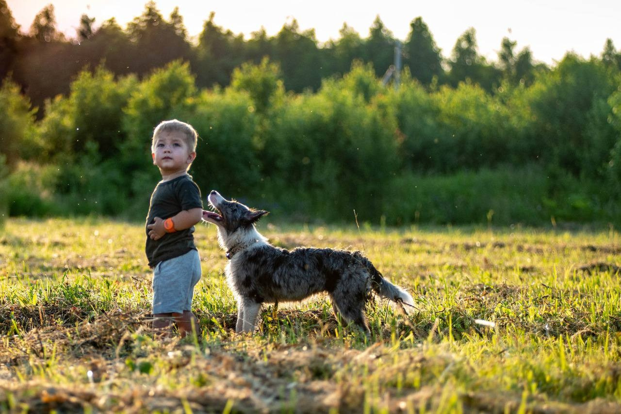 Фритсвит. Семейный фотограф Ефремова Виктория