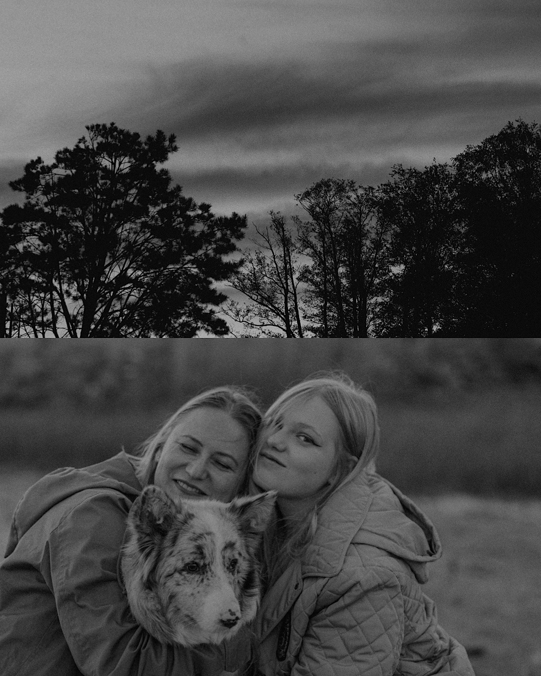 Света, Катрин и Умка. Фотограф анималист в Москве и Санкт-Петербурге Свиридова Анна