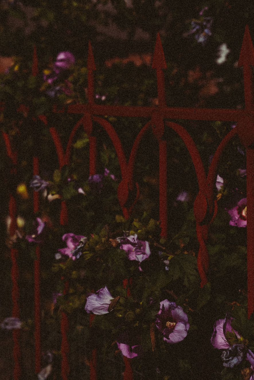 Фотообои на телефон 🖤. Семейный фотограф в городе Ейск — Михайлова Татьяна