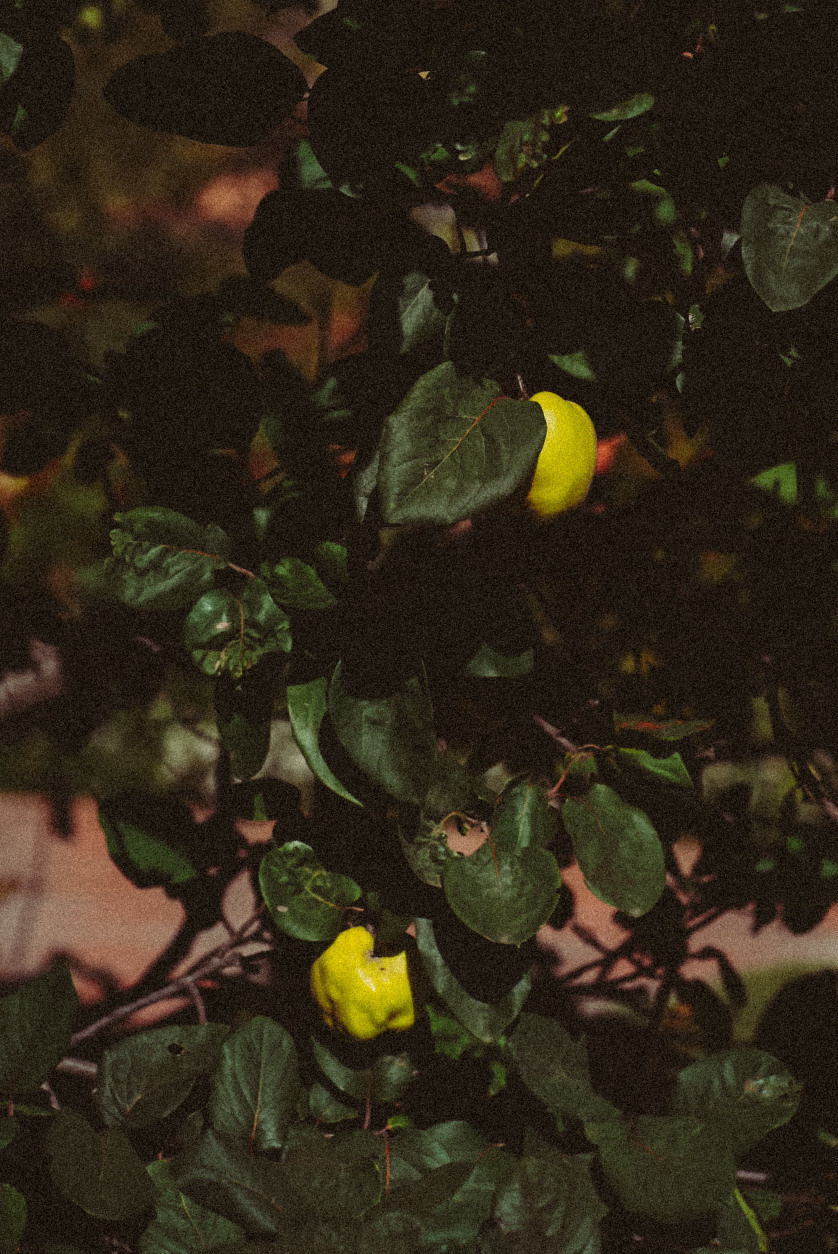 Фотообои на телефон 🖤. Семейный фотограф в городе Ейск — Михайлова Татьяна