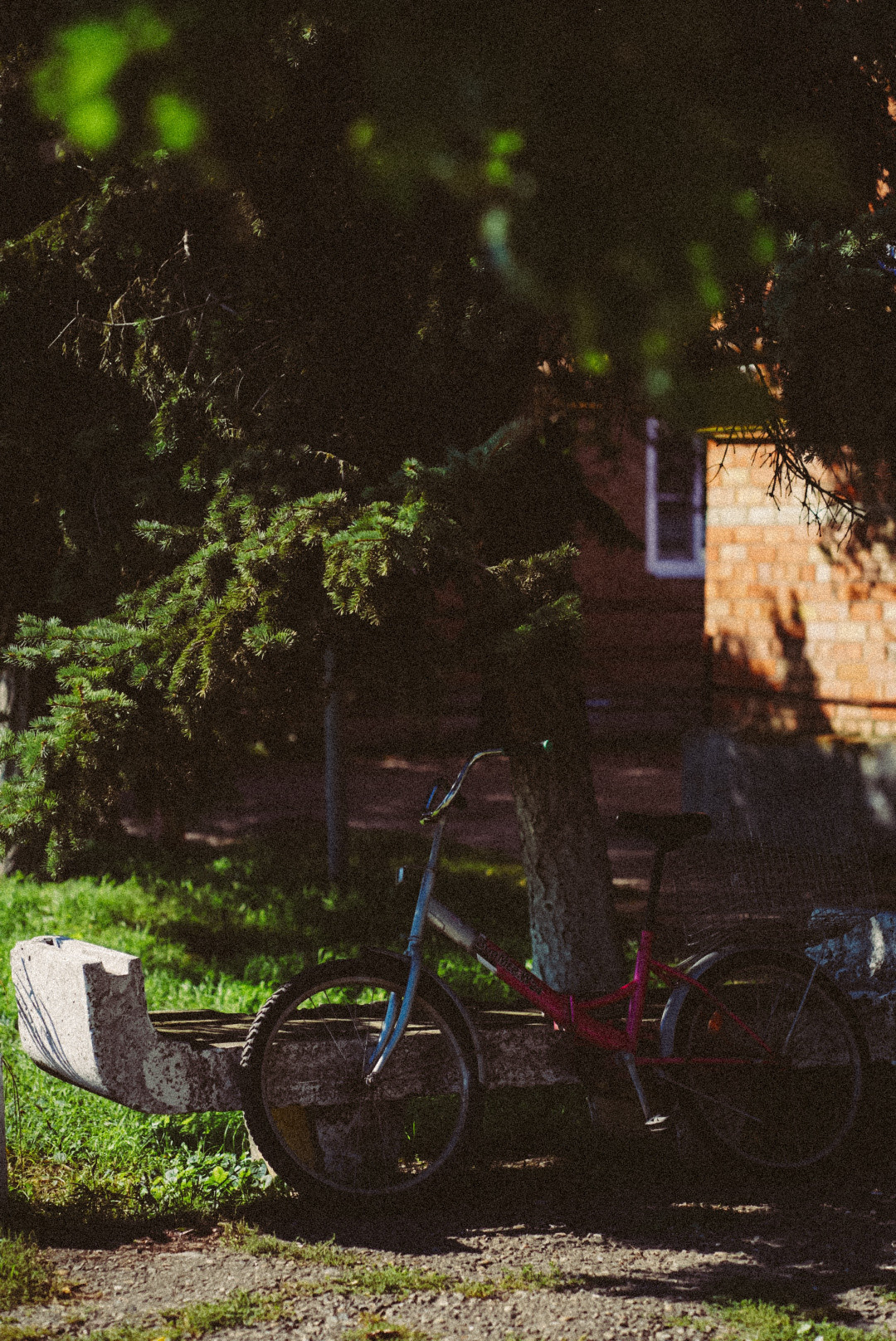 Фотообои на телефон 🖤. Семейный фотограф в городе Ейск — Михайлова Татьяна