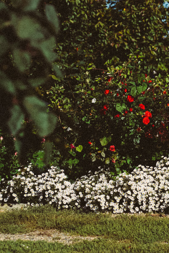 Фотообои на телефон 🖤. Семейный фотограф в городе Ейск — Михайлова Татьяна