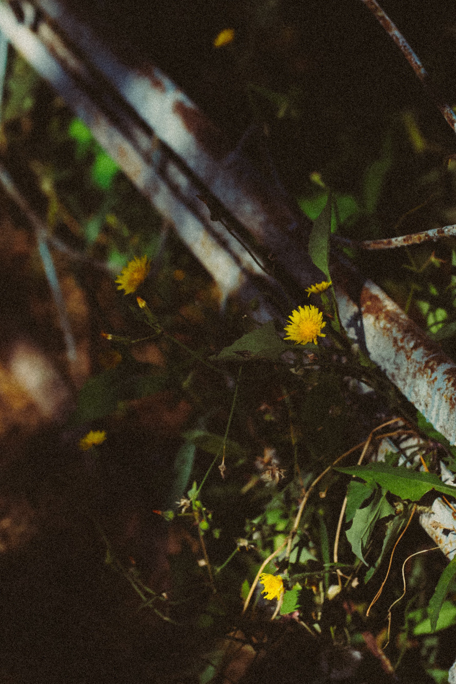 Фотообои на телефон 🖤. Семейный фотограф в городе Ейск — Михайлова Татьяна