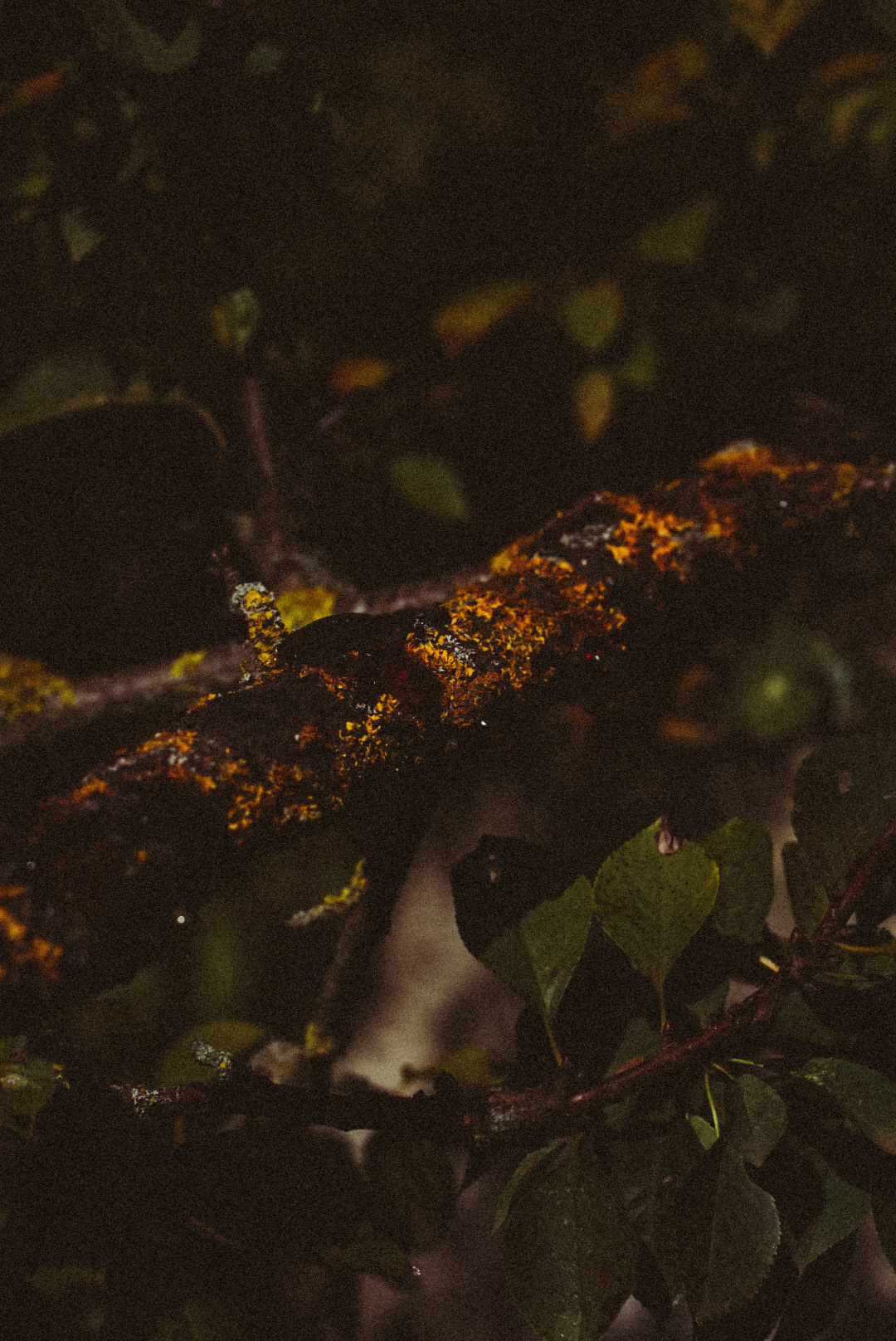 Фотообои на телефон 🖤. Семейный фотограф в городе Ейск — Михайлова Татьяна