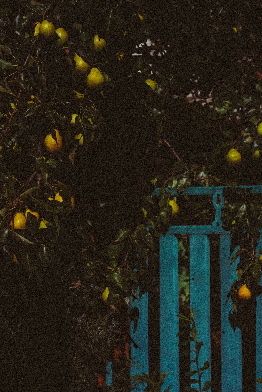 Фотообои на телефон 🖤. Семейный фотограф в городе Ейск — Михайлова Татьяна