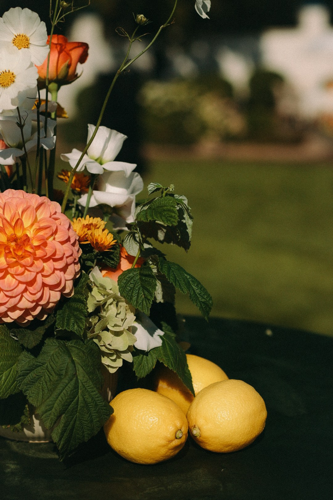 Владимир и Наталья. Фотограф Нижний Новгород