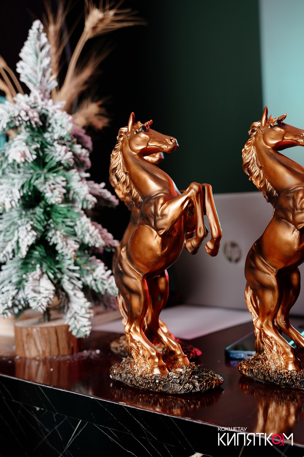 JAMAICA BAR. КИПЯТКОМ КОКШЕТАУ