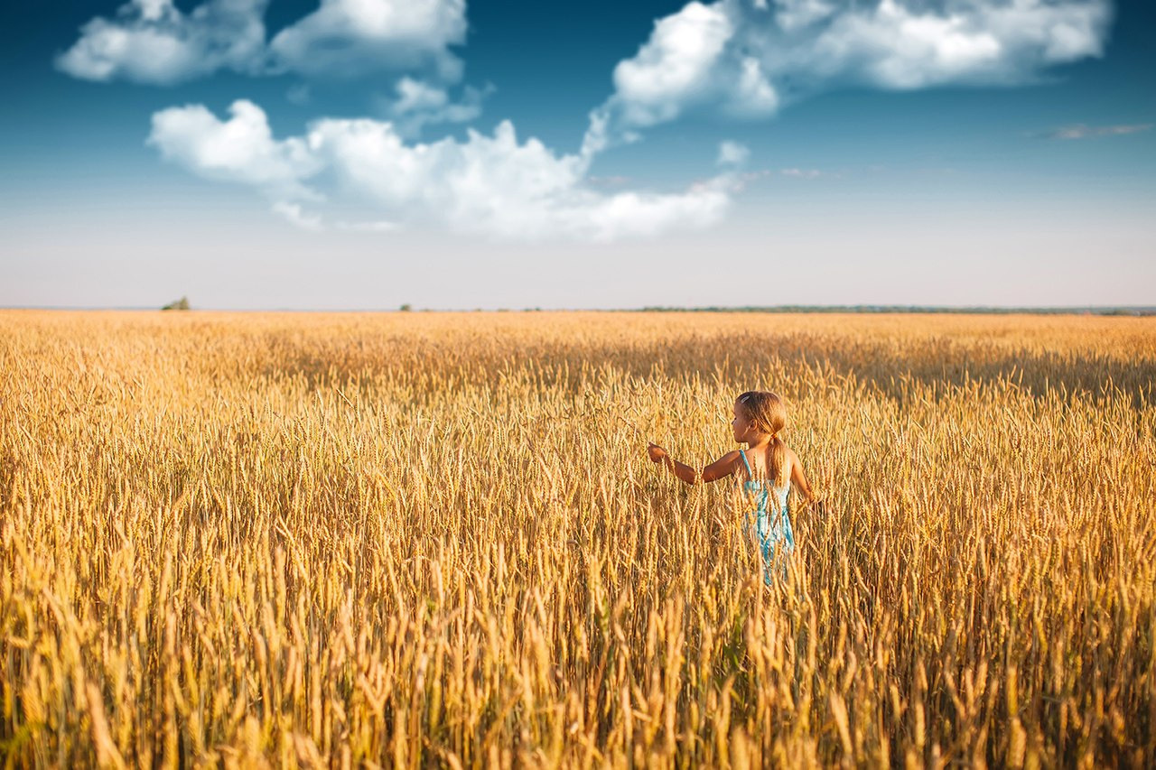 Семейные фотосессии в Самаре. Свадебный фотограф в Самаре