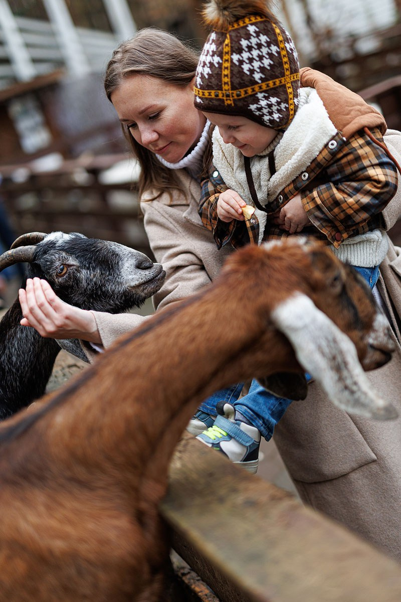 Прогулка в контактном зоопарке. Детский и семейный фотограф Домодедово