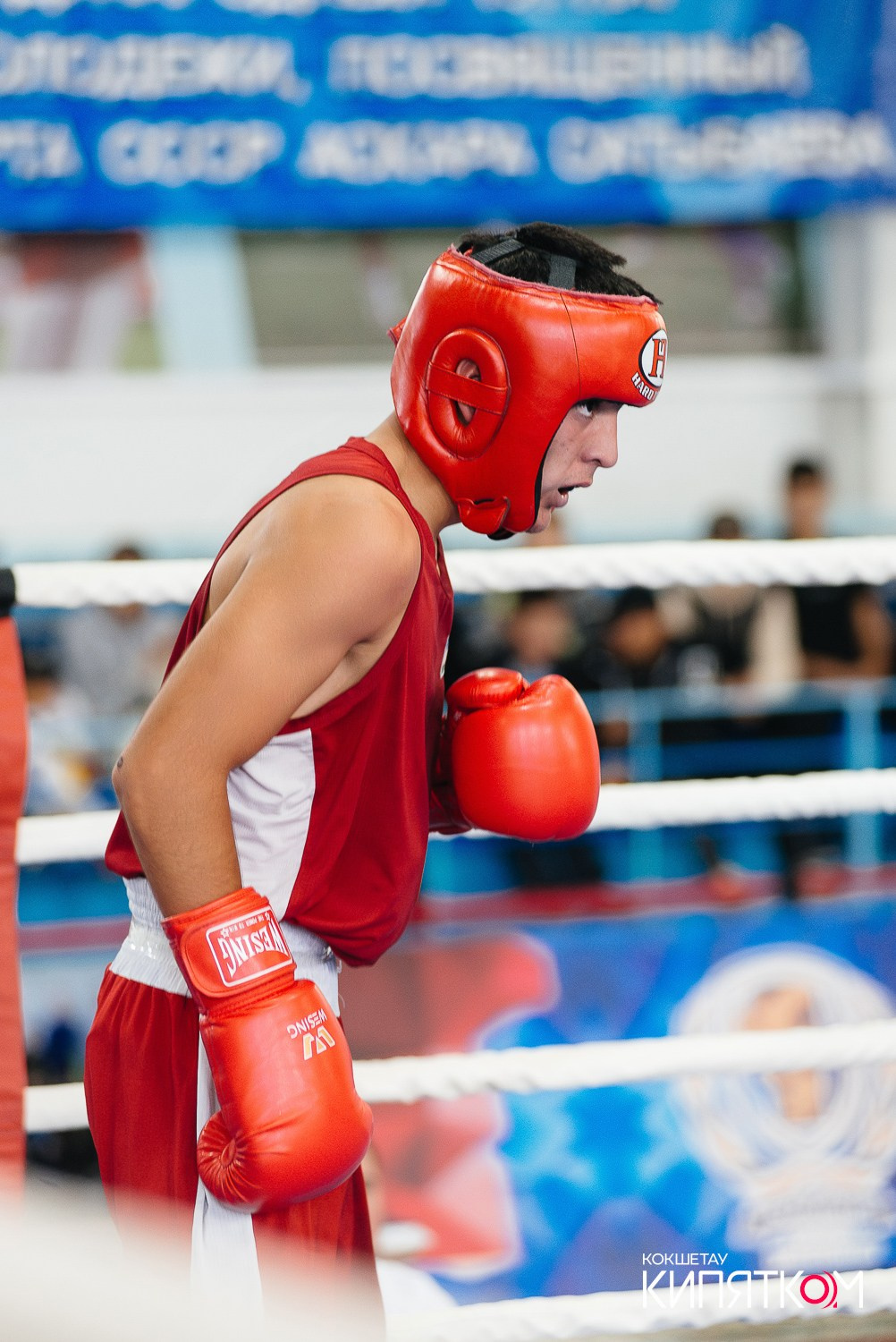 Турнир по боксу. КИПЯТКОМ КОКШЕТАУ