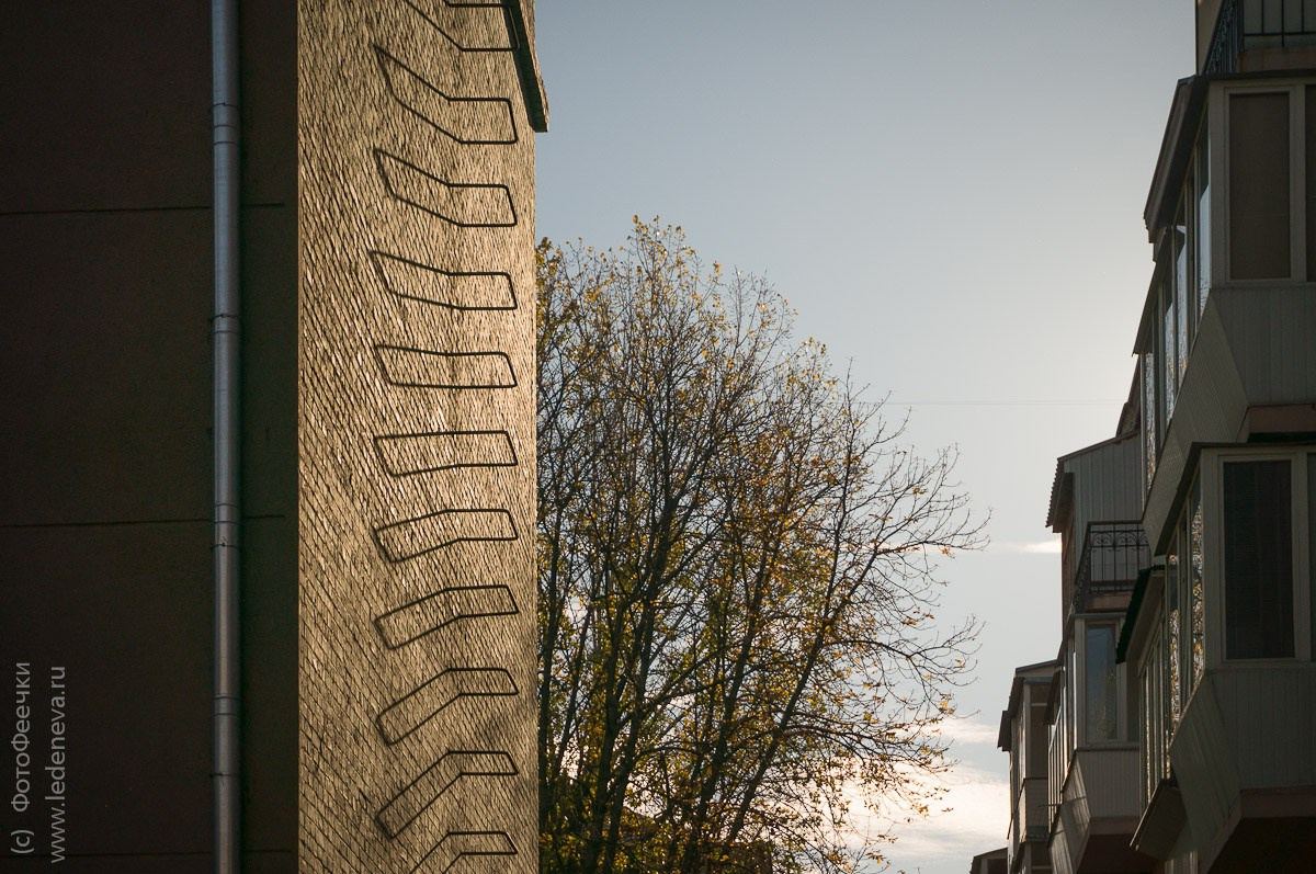 Киев, Украина, октябрь 2011. Анна Леденева Фотограф