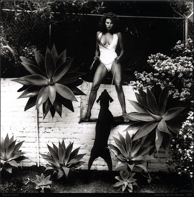 Хельмут Ньютон / Helmut Newton 18+. Женя Красовская | Фотограф | Smm-дизайнер