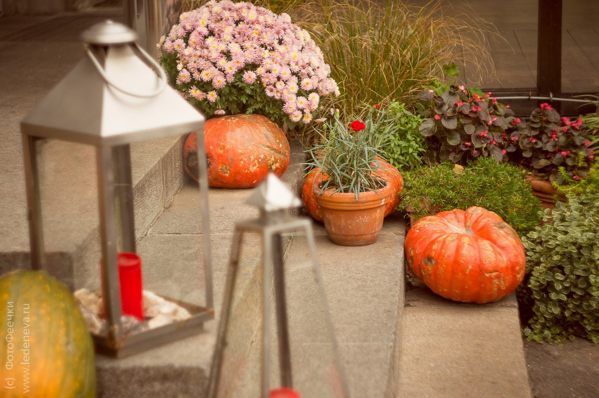 Киев, Украина, октябрь 2011. Анна Леденева Фотограф