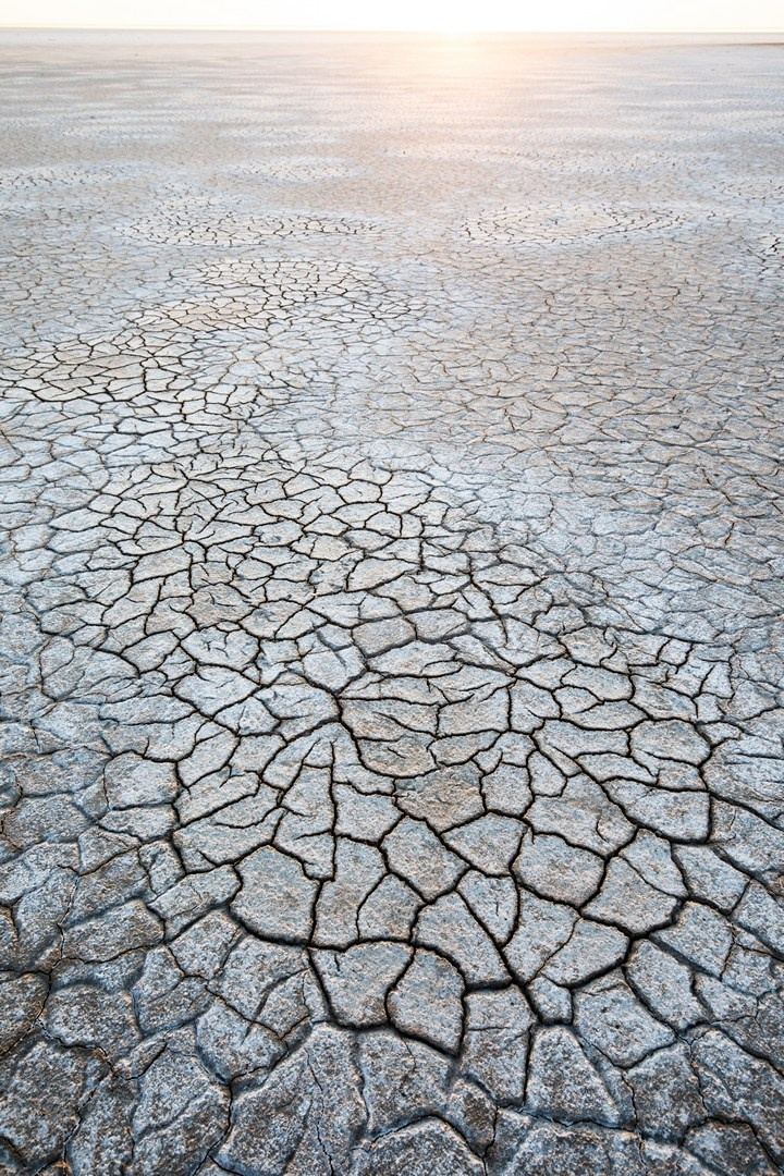 Озеро Эльтон. Фотограф Владимир Медведев