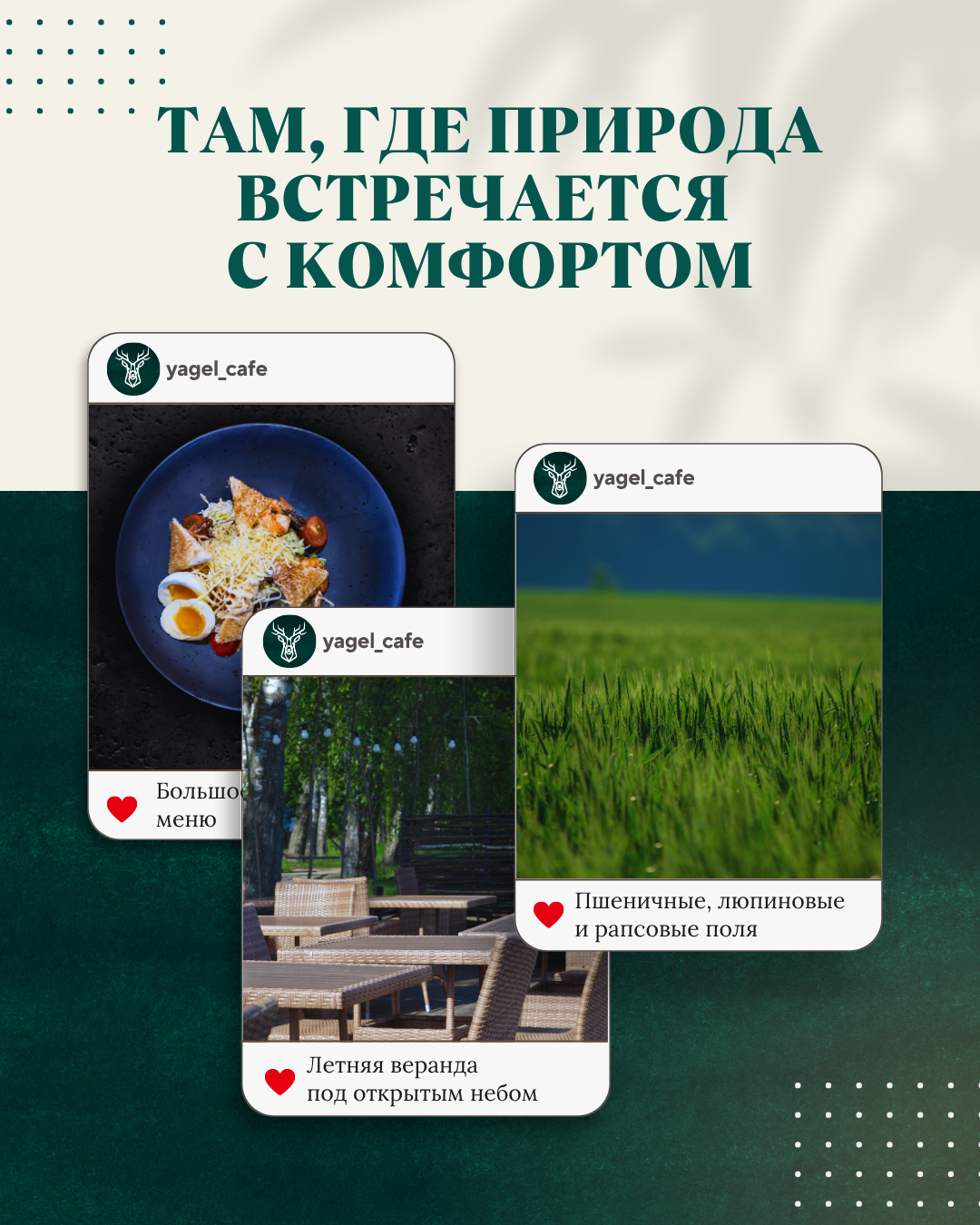 Услуги. Свет, камера, улыбка!