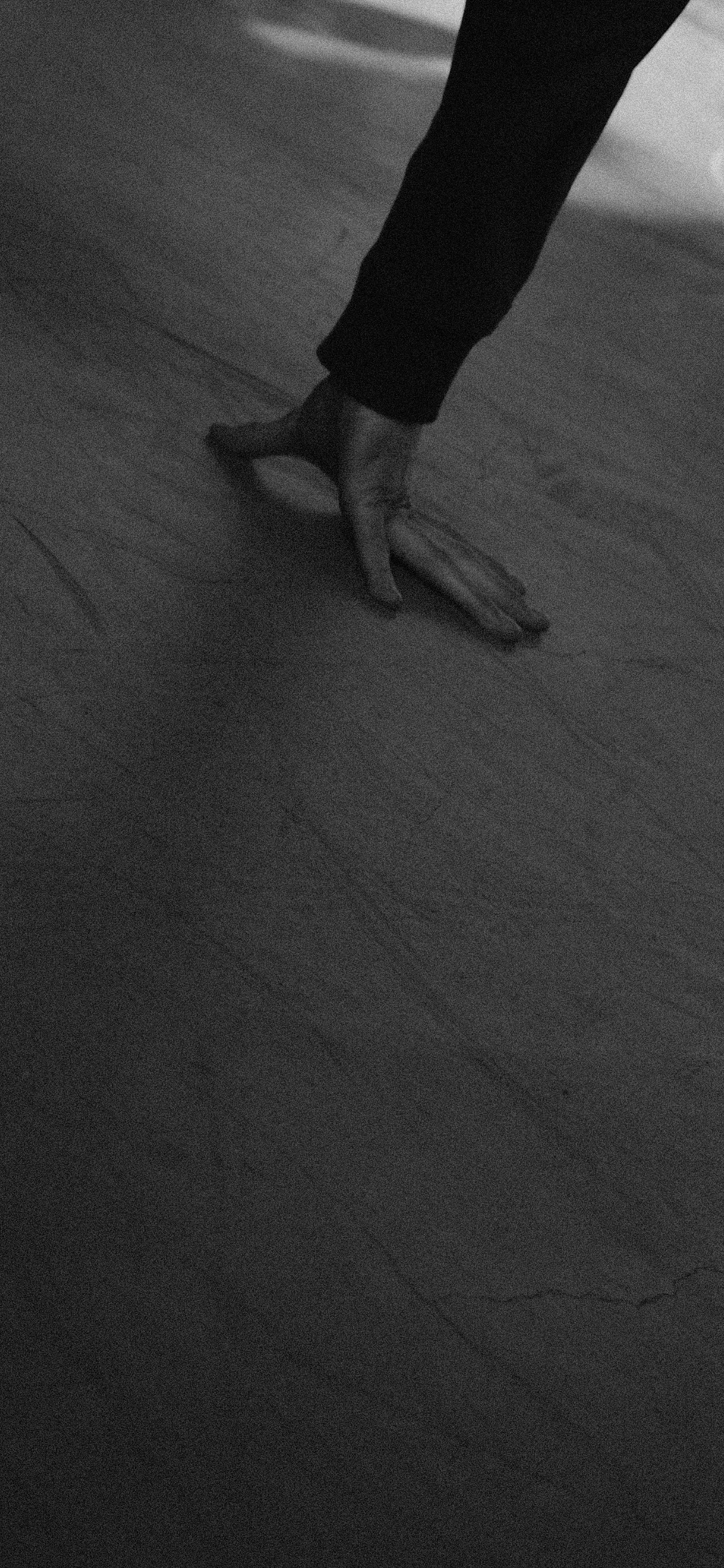 FORMSKILL 2023. LIYALEE PHOTO