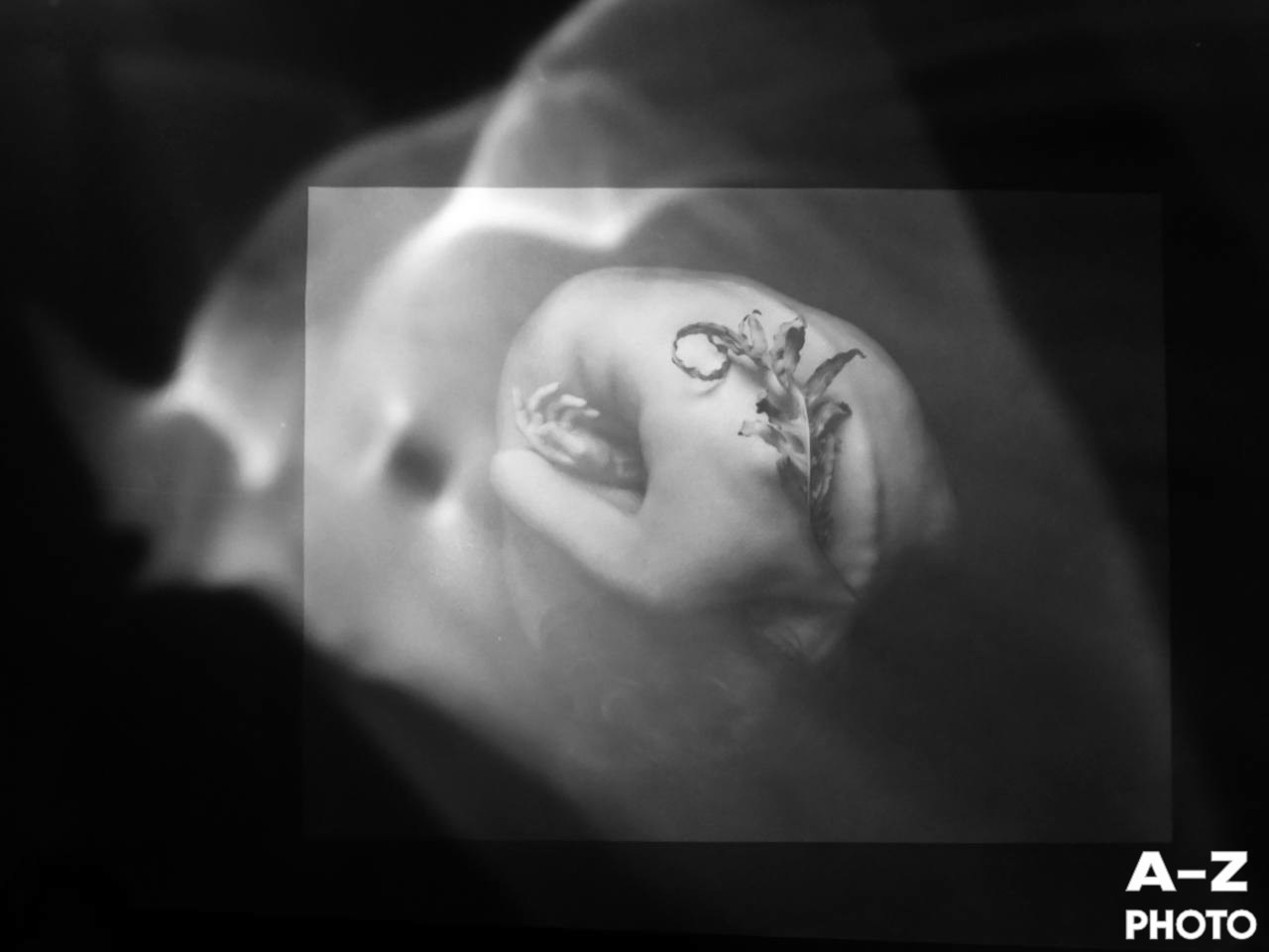 #ФОТОНЕДЕЛИ 23.03.2026. Женский семейный фотограф Тула Москва Захарова Анна