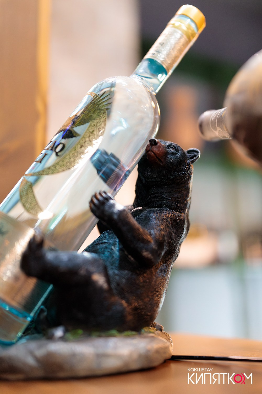 ТБИЛИСИ. КИПЯТКОМ КОКШЕТАУ