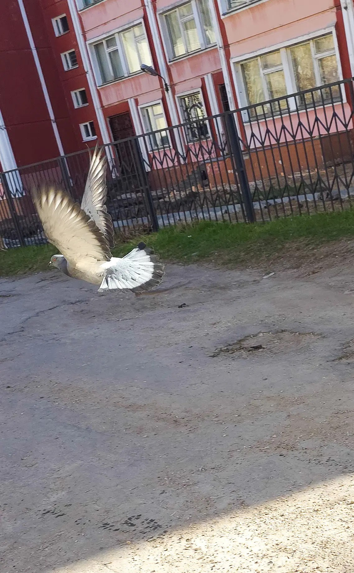 КАТЯ