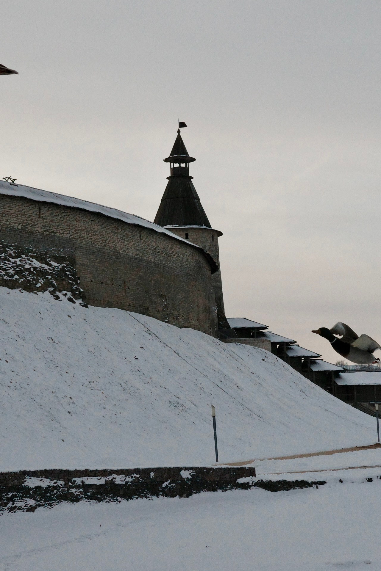 Псков. Фотографъ Сергѣевъ. Поймать мгновеніе