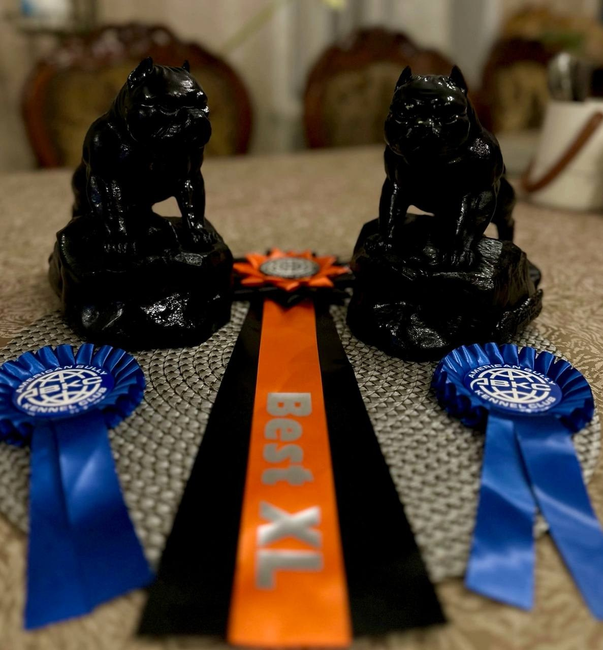 Участие в выставках. Американские булли XL в г. Калининград. Питомник Great Bully UNIVERSE