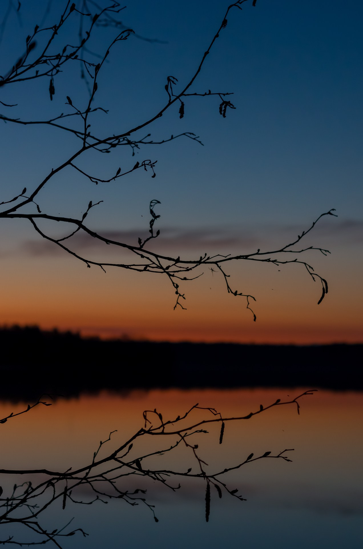 Белая ночь на Суйстамонъярви, Карелия