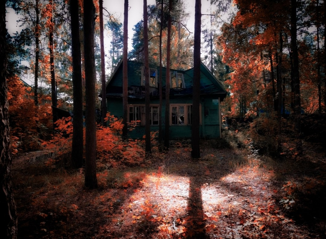 Стрит-фото. F.O.xygen