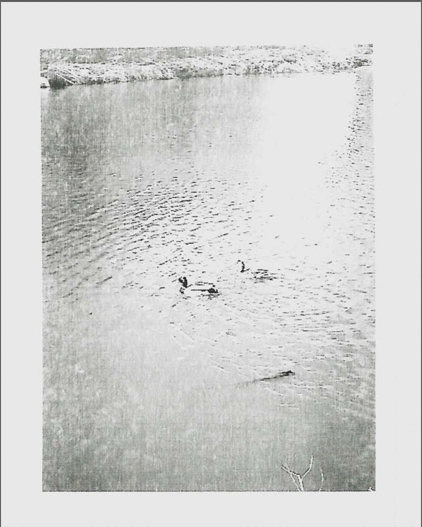 Полина Ефременко | Впереди огромное будущее. Private image