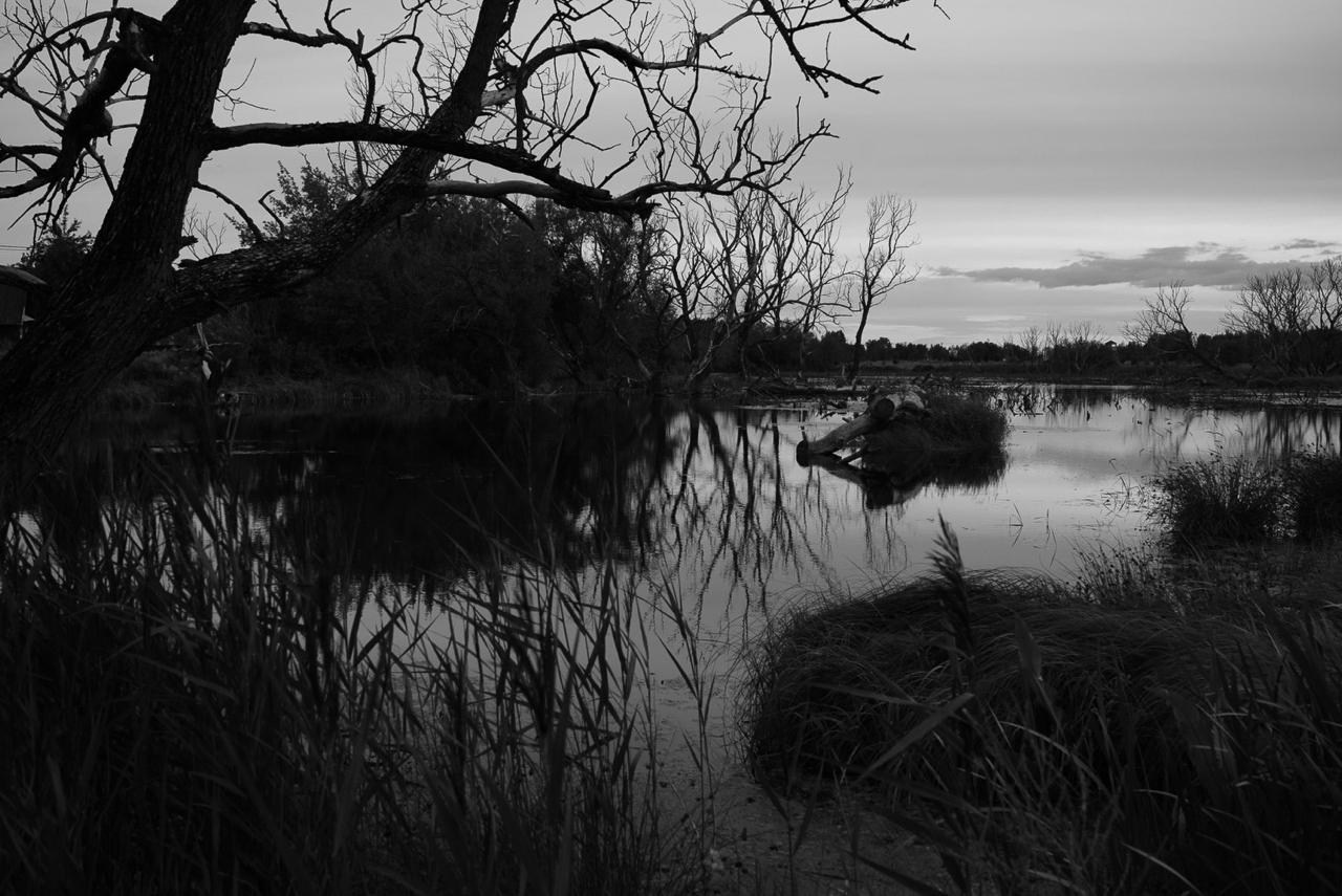 Sedimentation. Пылина Ирина — современная фотография