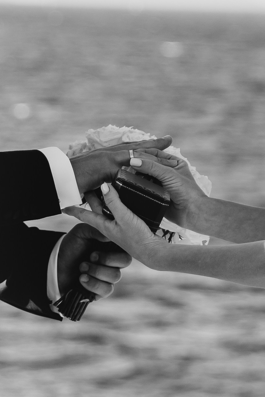 Алиса | Антон