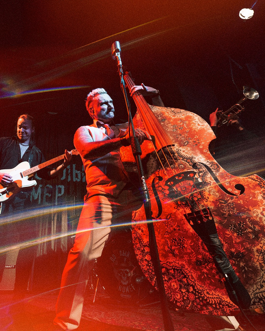 Шайка Дохлый Номер. Графический дизайнер Илья Левченко