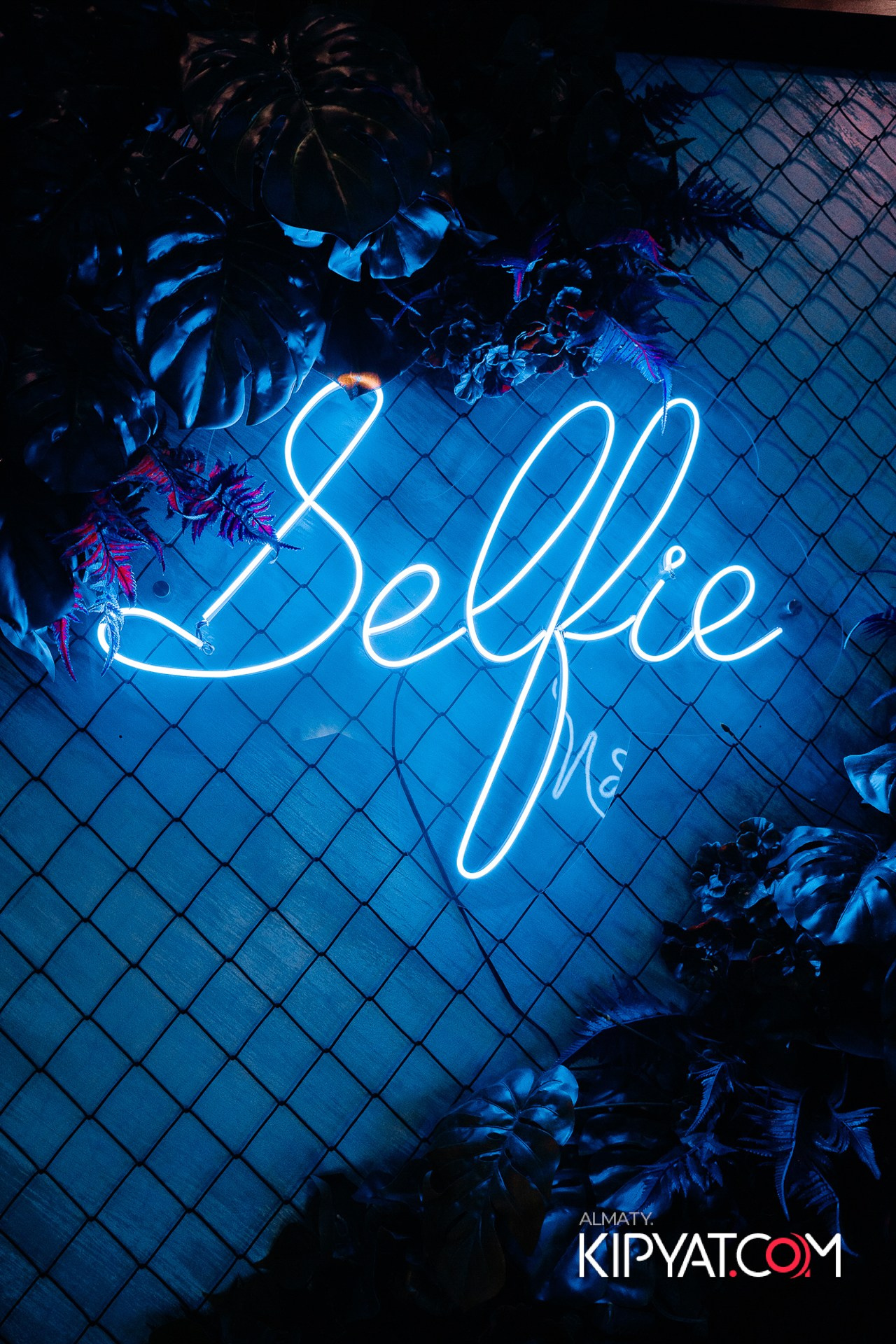 Дорогая. Я Не Пил. КИПЯТКОМ АЛМАТЫ!