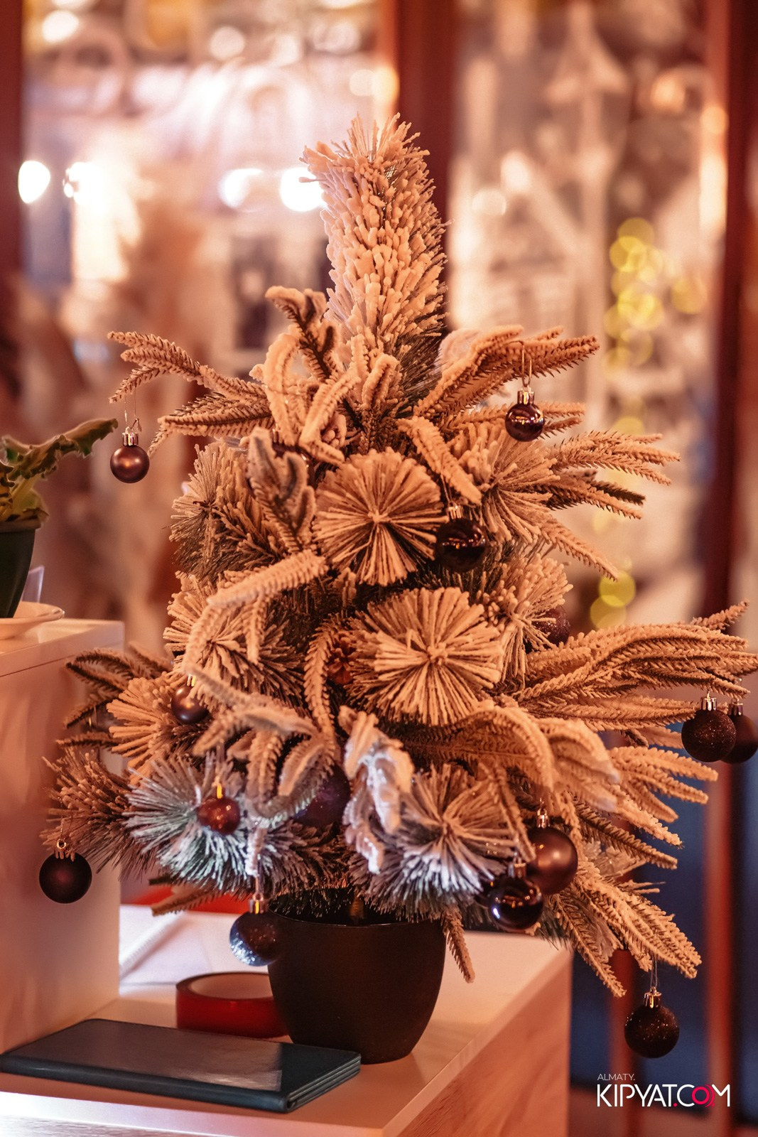 ГРУЗИНСКИЙ ДВОР. КИПЯТКОМ АЛМАТЫ!