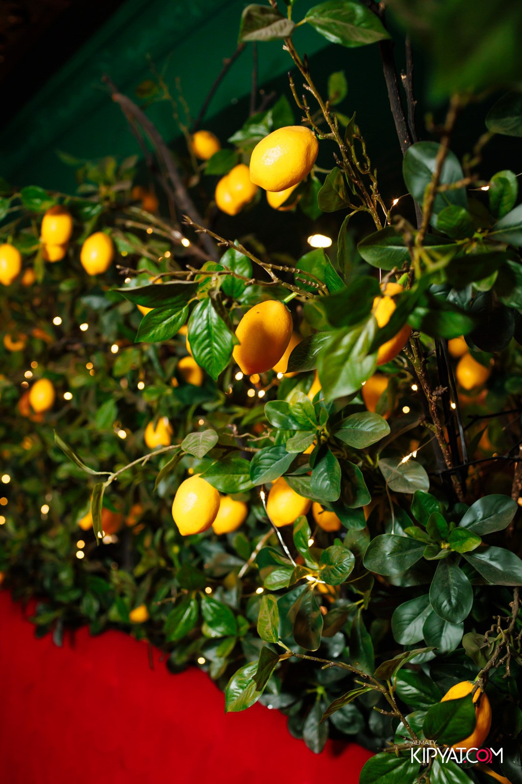 РЕСТОРАН ALAZANI. КИПЯТКОМ АЛМАТЫ!