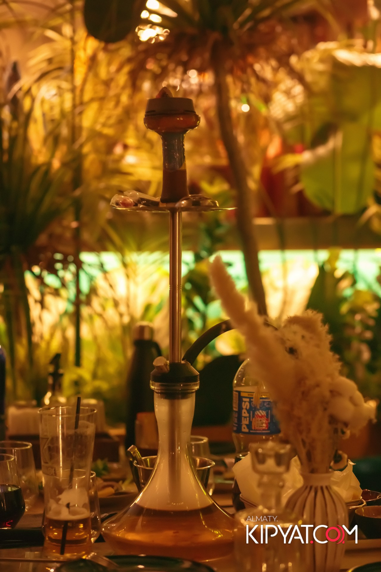 MODI RESTORANCHIK. КИПЯТКОМ АЛМАТЫ!