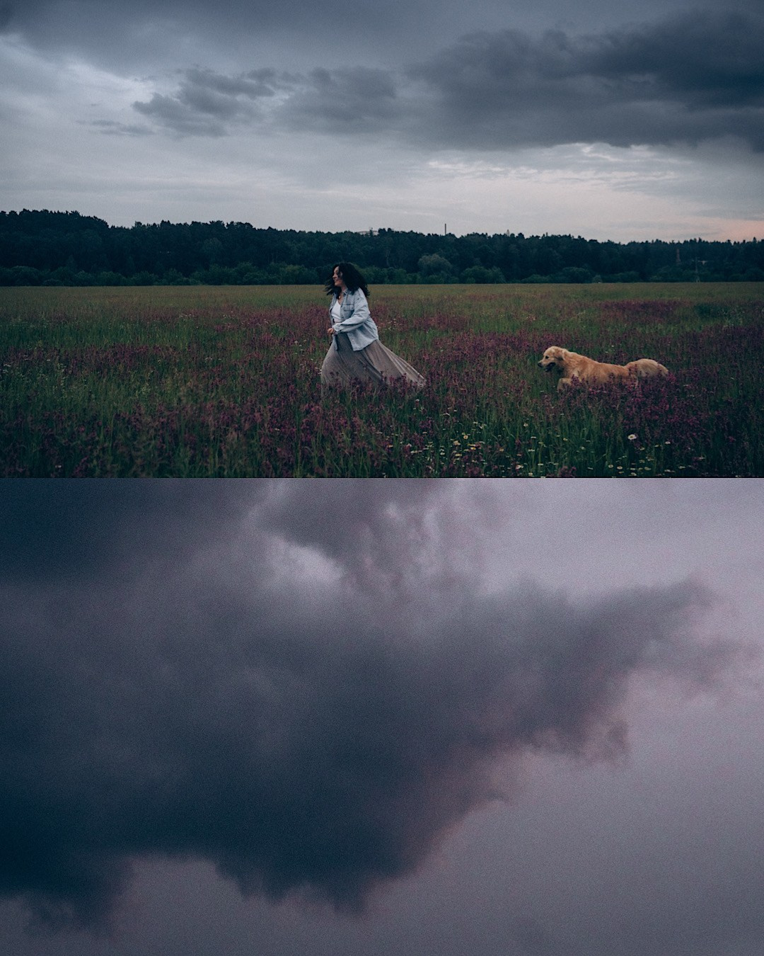 Кристина, Александр, Каролина, Владлен и Космос. Фотограф анималист в Москве и Санкт-Петербурге Свиридова Анна