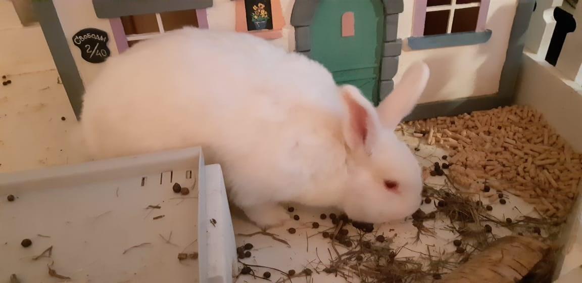 Ярославль | 03-04.11.2019. Галерея Фантим