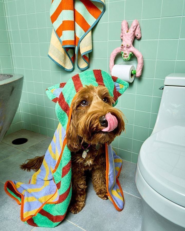 Для брендов. Главная