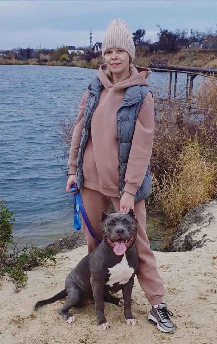 UPB’s Queenie & Zeus. 16.04.24. Американские булли XL в г. Калининград. Питомник Great Bully UNIVERSE