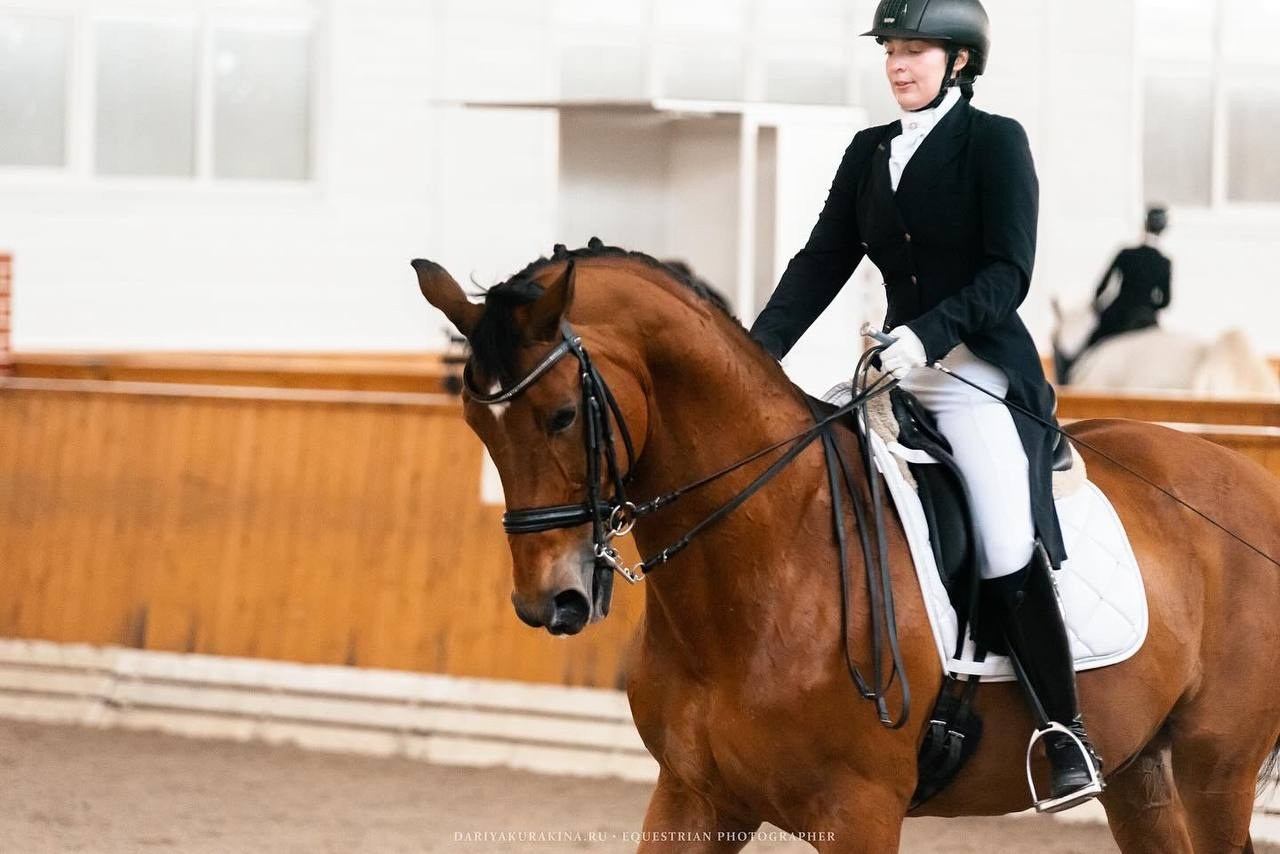 Открытые соревнования по выездке в КСК «Конкорд». Конный фотограф Куракина Дарья • Фотосессии с лошадьми