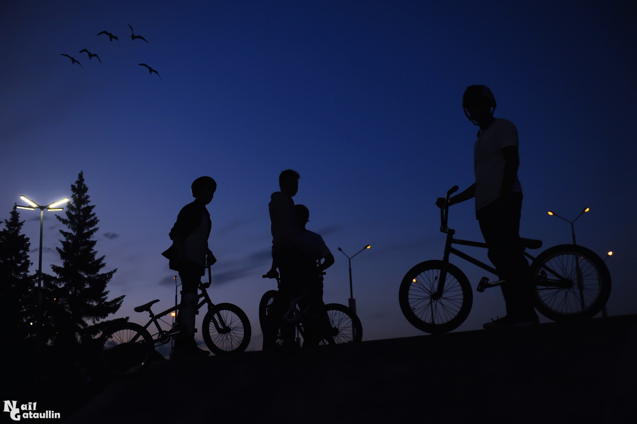 Главная (Home)