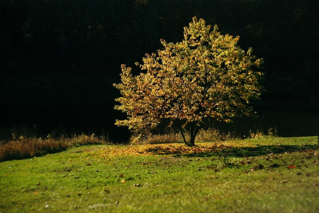 Полушкинские каменоломни. Ваш портретный фотограф в Москве Катя Прокофьева