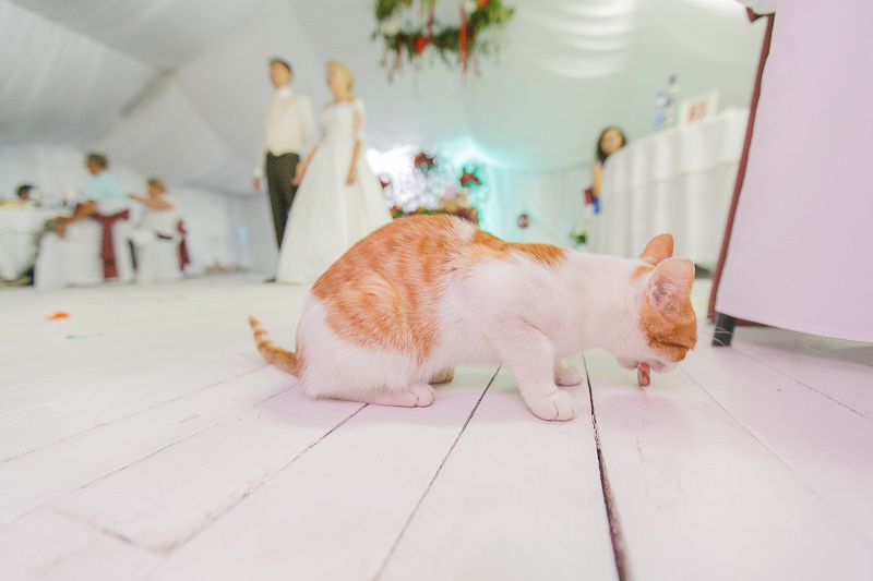 Свадьба Димы и Оксаны в Екатеринбурге. Свадебный фотограф в Москве | Антон Матвеев